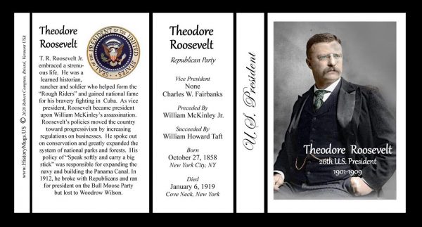 26th US President, Theodore Roosevelt, biographical history mug tri-panel.