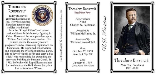 26th US President Theodore Roosevelt biographical history mug tri-panel.