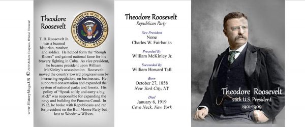 26th US President Theodore Roosevelt biographical history mug tri-panel.