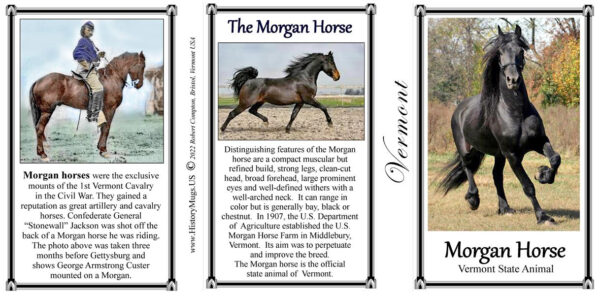 Morgan Horse, Vermont biographical history mug tri-panel.