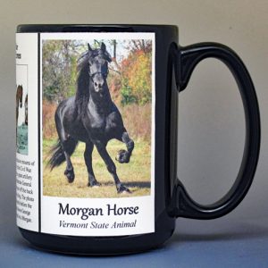 Morgan Horse, Vermont biographical history mug.