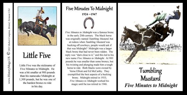 Tumbling Mustard-Five Minutes to Midnight Pro-Rodeo biographical history mug tri-panel.