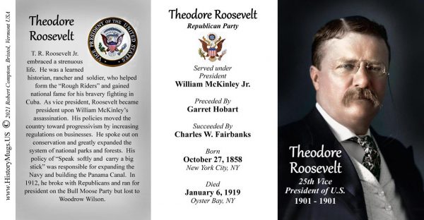 Theodore Roosevelt, US Vice President biographical history mug tri-panel.