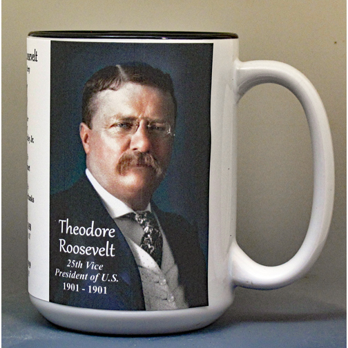 Theodore Roosevelt, US Vice President biographical history mug.