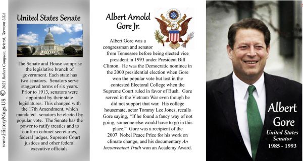 Al Gore, US Senator biographical history mug tri-panel.