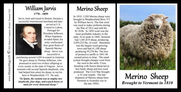 Merino Sheep, Vermont biographical history mug tri-panel.