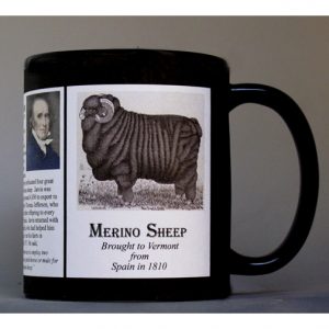 Merino Sheep Vermont history mug.