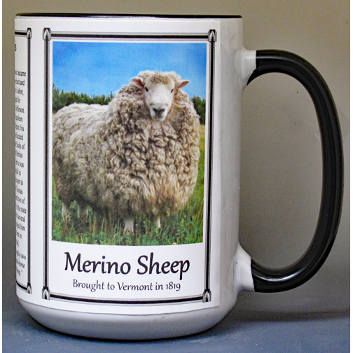Merino Sheep biographical history mug.