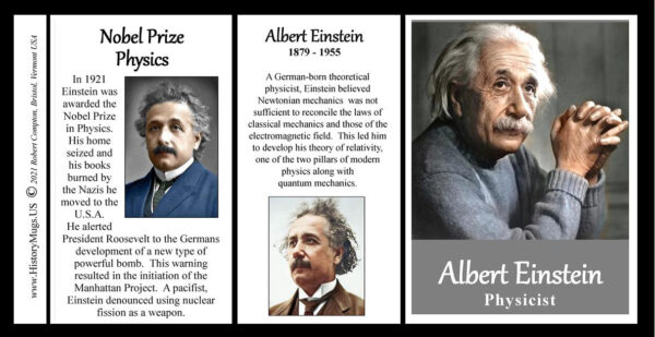 Albert Einstein, physicist biographical history mug tri-panel.