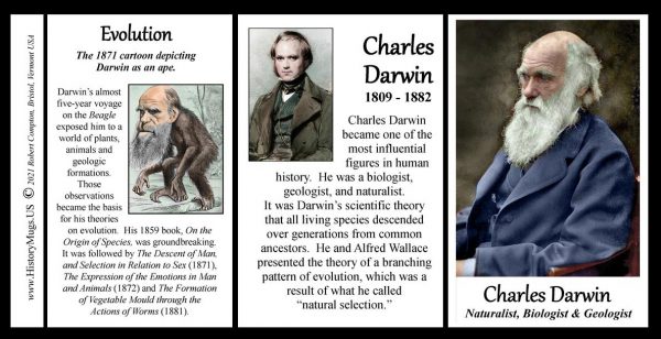 Charles Darwin, naturalist, biologist, and geologist, biographical history mug tri-panel.