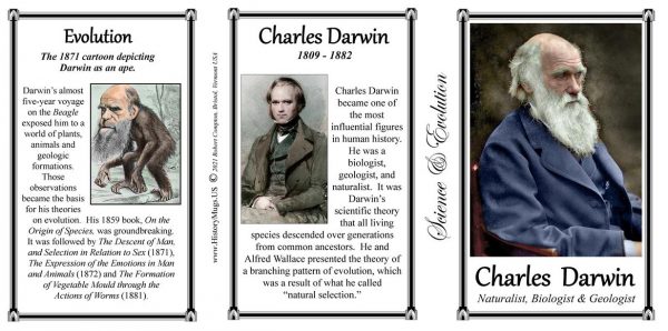 Charles Darwin, biologist, naturalist, and geologist biographical history mug tri-panel.