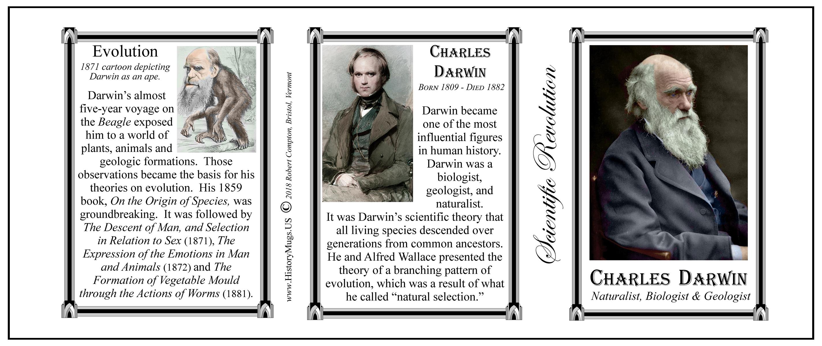 Darwin, Charles Scientific Revolution HistoryMugs.us