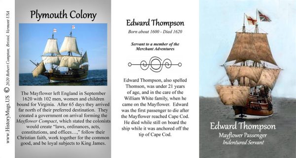 Edward Thompson, Mayflower merchant indentured servant biographical history mug tri-panel.