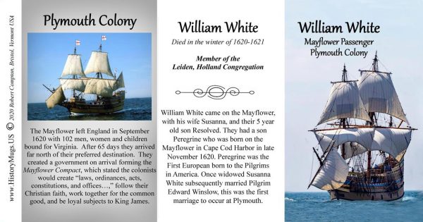 William White, Mayflower passenger biographical history mug tri-panel.
