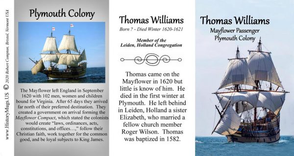 Thomas Williams, Mayflower passenger biographical history mug tri-panel.