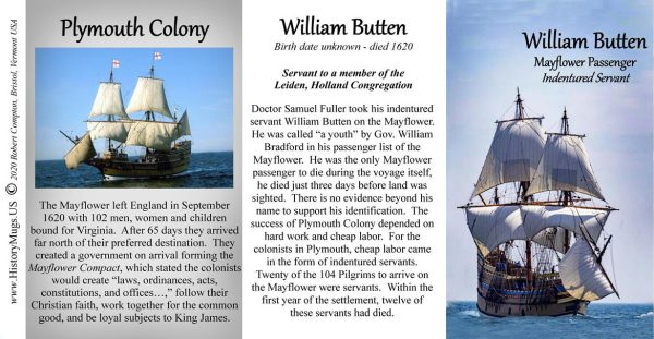 William Butten, Mayflower passenger biographical history mug tri-panel.