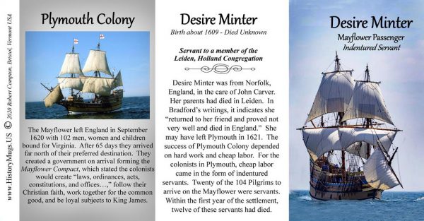 Desire Minter, Mayflower passenger biographical history mug tri-panel.