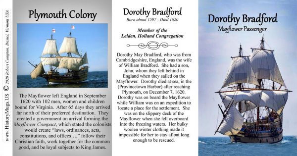 Dorothy Bradford, Mayflower passenger biographical history mug tri-panel.