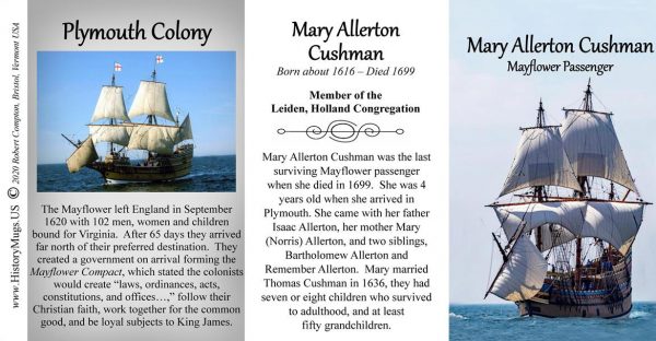 Mary Allerton Cushman, Mayflower passenger biographical history mug tri-panel.