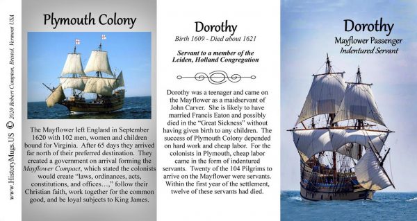 Dorothy, Mayflower indentured servant and passenger biographical history mug tri-panel.