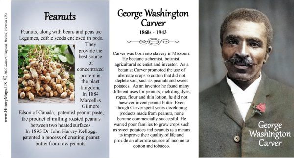 George Washington Carver, chemist, agricultural scientist, and botanist, biographical history mug tri-panel.